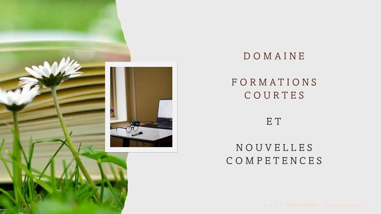 DOMAINE FORMATION COURTE