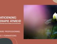 ANNUAIRE PRO ATMEI