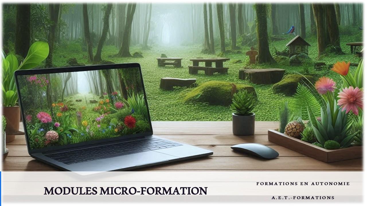 Modules courts microformation